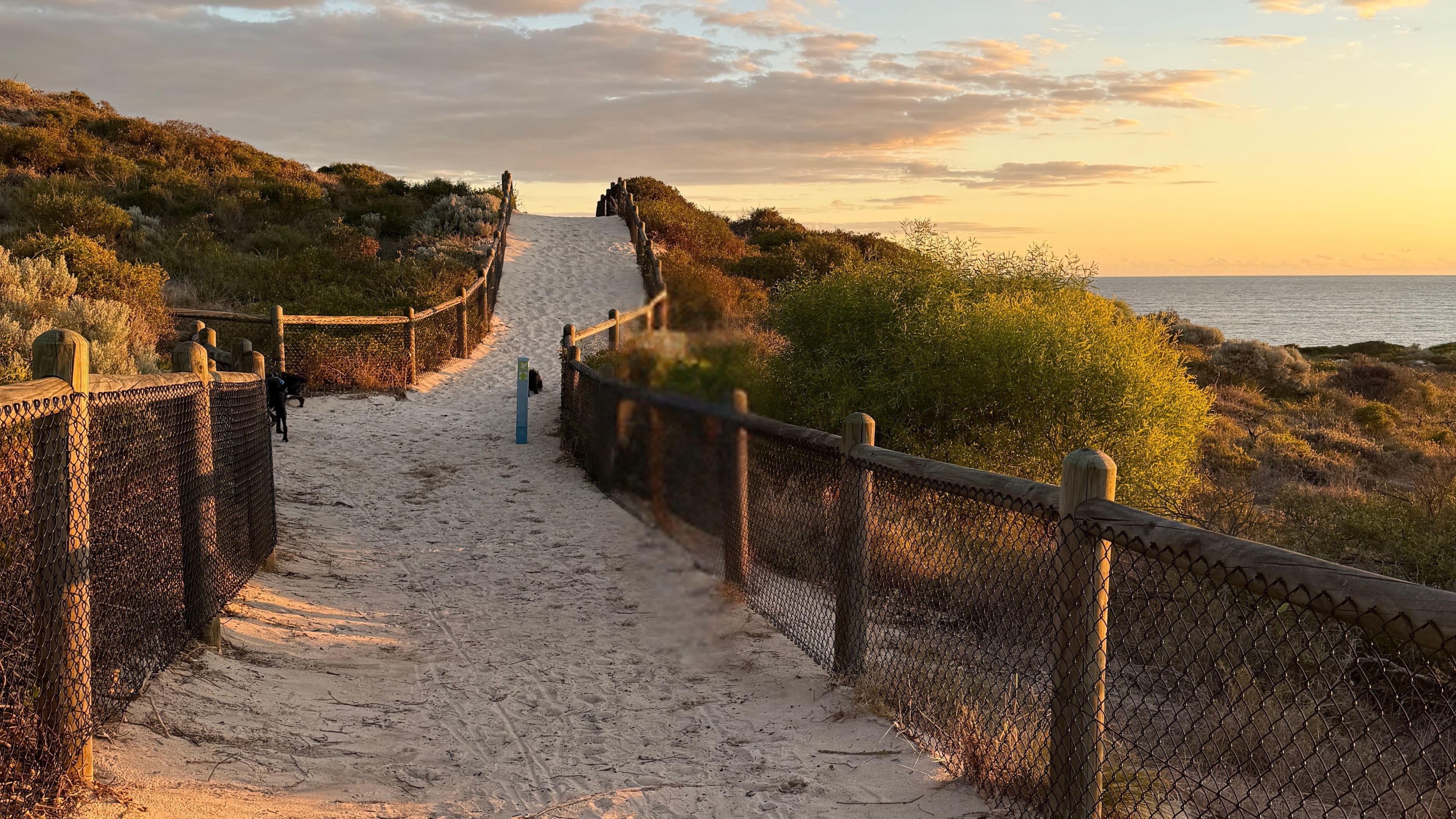 Beach boardwalk at sunset, Western Australia, 2024